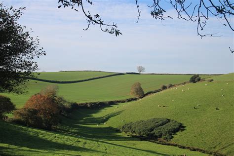 Countryside 的图像结果