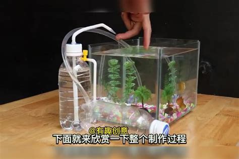 太神奇了,用两个矿泉水瓶就可以给鱼缸制作一个循环供水设备_鱼缸_供水_循环