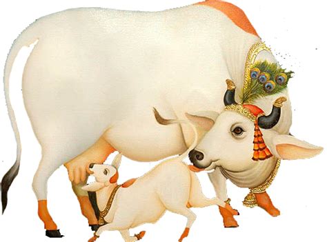 Indian Cow With Krishna PNG, Kamdhenu Gau Shala (224.39 Kb) Free PNG ...