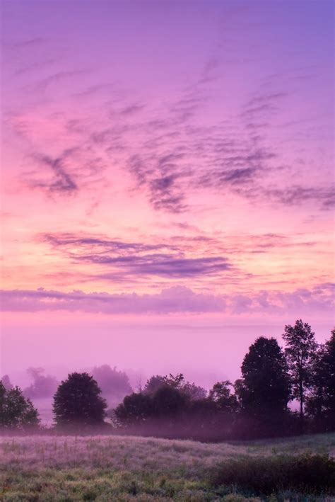 Pink purple sunset Images - Free Download on Freepik