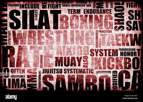 Image result for Silat Boxing
