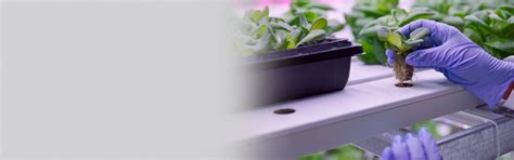 Welcome to - Rabindranath Tagore University