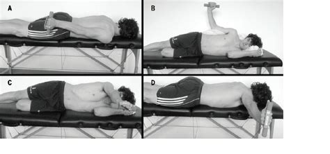 Image result for Scapular Dysfunction Exercises