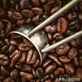 生咖啡豆萃取物