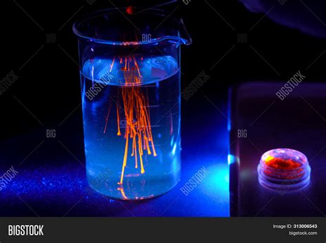 Chemical Experiments 的图像结果