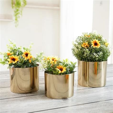 BEHOMA Metal Golden Mini Table Top Planter, Set of 3 Modern Indoor ...
