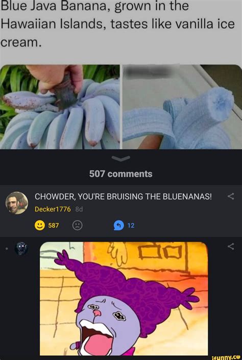 Image result for Eating Blue Java Banana