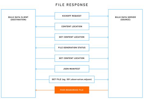 Image result for Fhir API Tempory Data Store