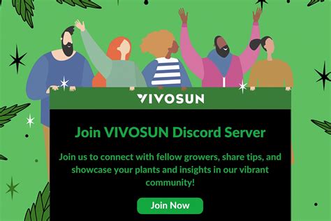 Donny Burger Strain: A Comprehensive Guide - Vivosun