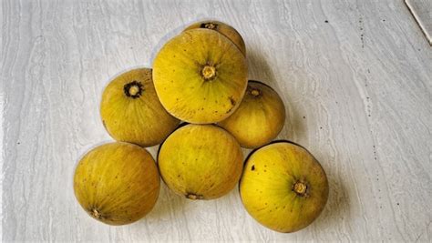 Image result for Kuning Kecapi