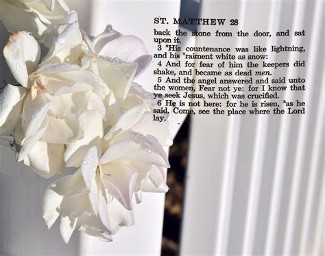 Image result for Easter Message Videos