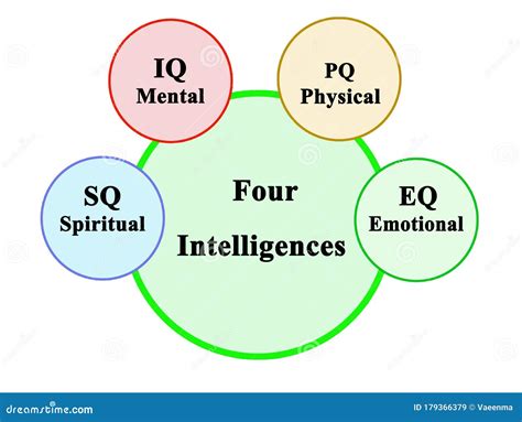 Four Types of Intelligences Stock Illustration - Illustration of four ...