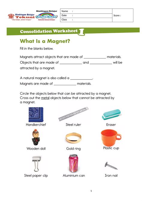 Image result for Printable Magnet Worksheet