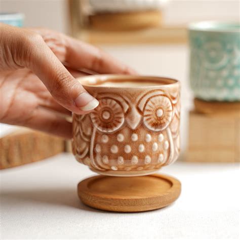Owl Plant Pot Online - Premium Planter | Nestasia