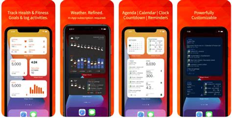 Image result for Widget Applications