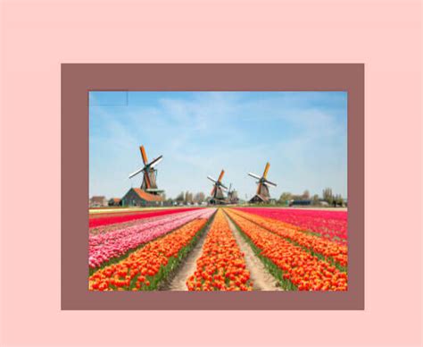 Image result for Pure CSS Image Slider