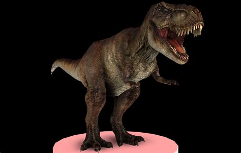 T-Rex 3D Model Game ready .obj .fbx .mtl .tga - CGTrader.com