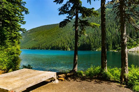 Hiking Flora Lake in the Fraser Valley - Best Hikes BC