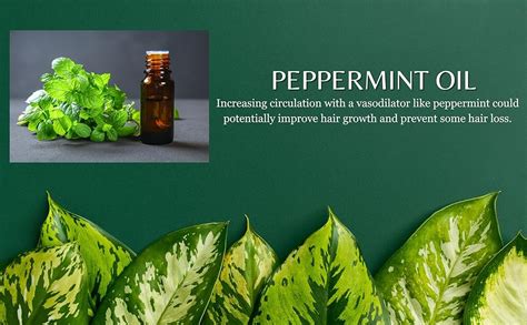 Buy XPEL Tea Tree Moisturising Conditioner, 400 ml Online at Low Prices ...