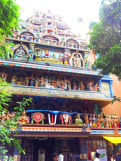 Matunga 的图像结果