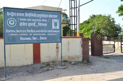 Regional Quality Evaluation Unit – Sirsa | Official Website of ICAR ...