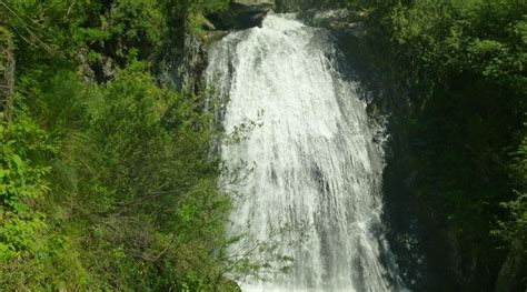 BELY KAMEN (Rybalka) - Tourist Base Reviews & Photos - Tripadvisor