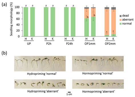ROS Accumulation as a Hallmark of Dehydration Stress in Primed and ...