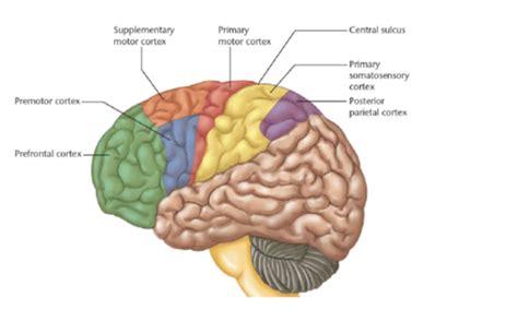 Image result for Cortex-R Vector Table