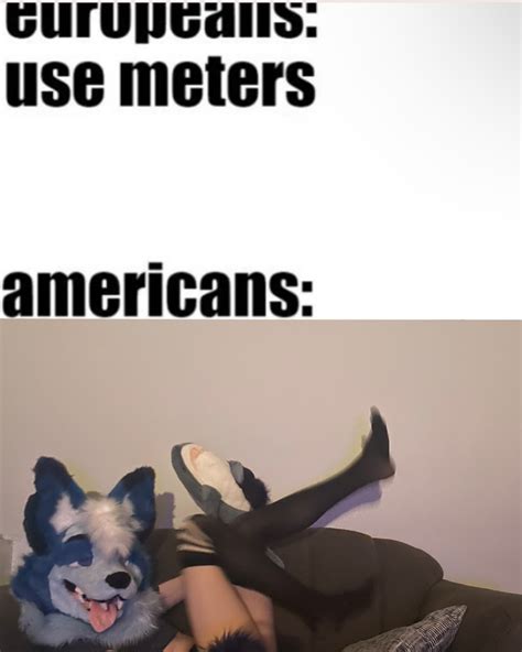 Furry Pizza Incident