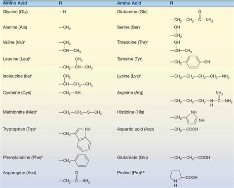 Amino Acids and Proteins | Basicmedical Key