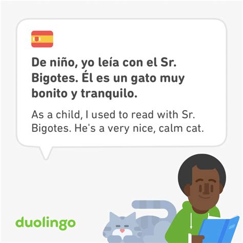 Why does Sr. Bigotes only appear in Spanish? I want these sentences ...