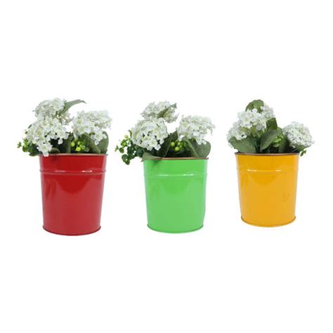 Set of 3 Plain Metal Pots for Home and Garden Decoration (Red/Green/Ye ...