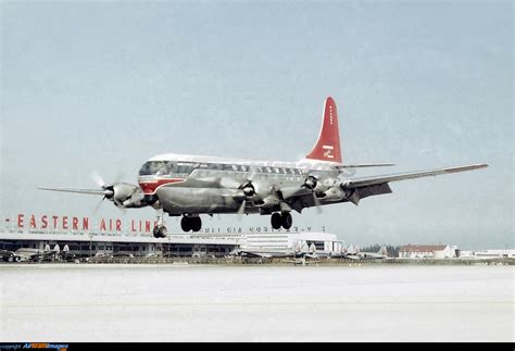 Boeing 377-10-29 Stratocruiser - Large Preview - AirTeamImages.com