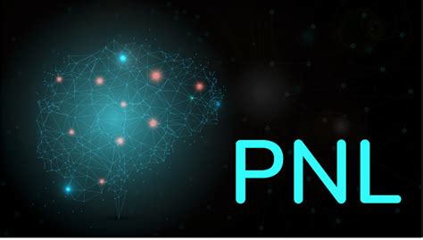 Technique PNL 的图像结果