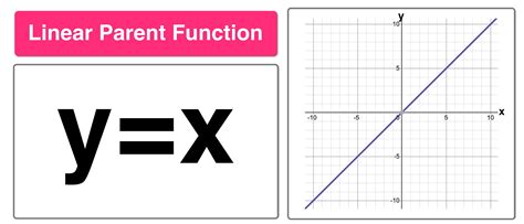 Parent Functions and Parent Graphs Explained — Mashup Math