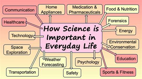 Science Is Useful 的图像结果