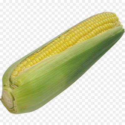 Sweetcorn Png No Background Png - Pngsource