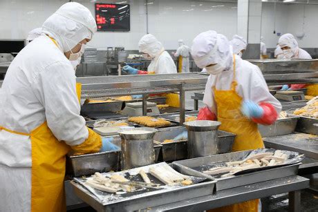 Food Processing Factory 的图像结果