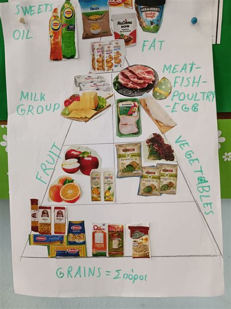 Food Pyramid Project Work 的图像结果