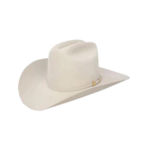 Sale 100x felt hat Discount