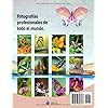 Las 40 Mariposas más Bonitas del Mundo: Un Libro de India | Ubuy