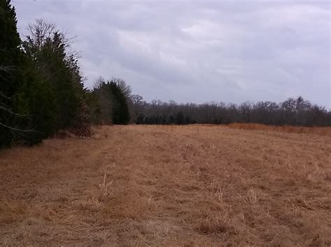 8 acres in Van Zandt County, Texas