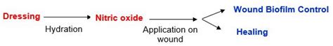 Nitrogen Oxides Releasing Wound Dressing – Bhabha Atomic Research ...