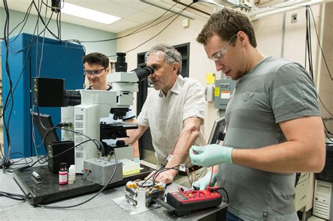 5 Examples of a Positive Control - Simplicable