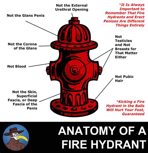 What Are The Parts Of A Fire Hydrant Called at George Jefferson blog