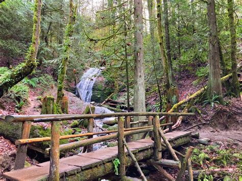 Coal Creek Falls Cougar Mountain Hike near Seattle (car free option ...