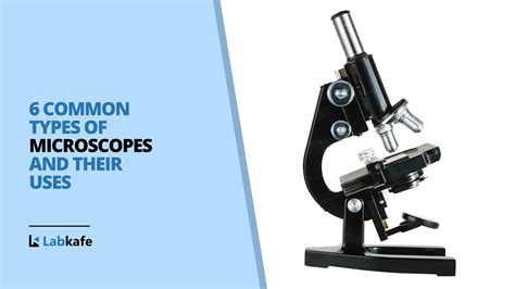 Microscope Types and their Uses