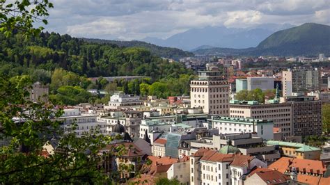 Wallpaper city, buildings, trees, aerial view hd, picture, image