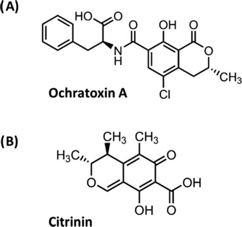 Production of Ochratoxin A and Citrinin and the Expression of Their Biosynthetic Genes from ...