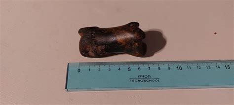 Is this a fossil? Looks like it. : r/fossilid